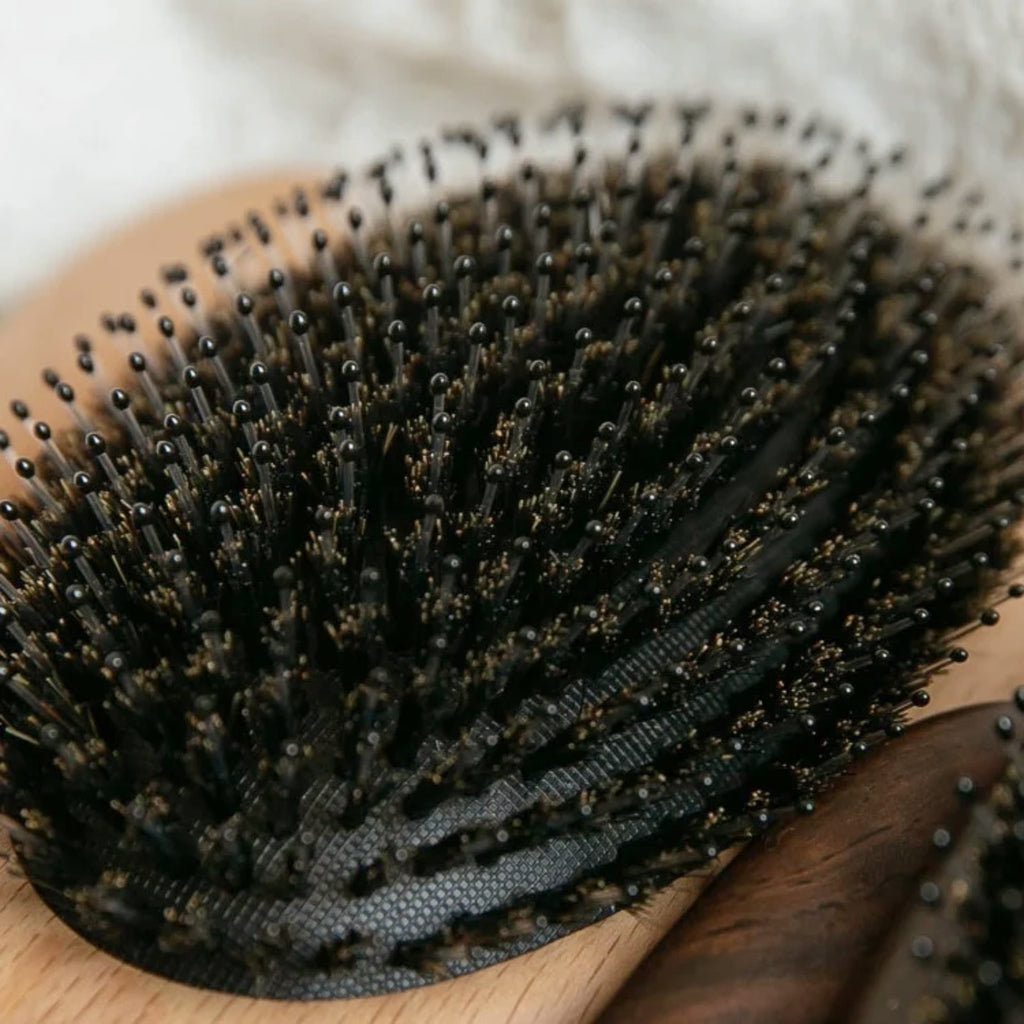 Brosse Poils de Sanglier en Bois